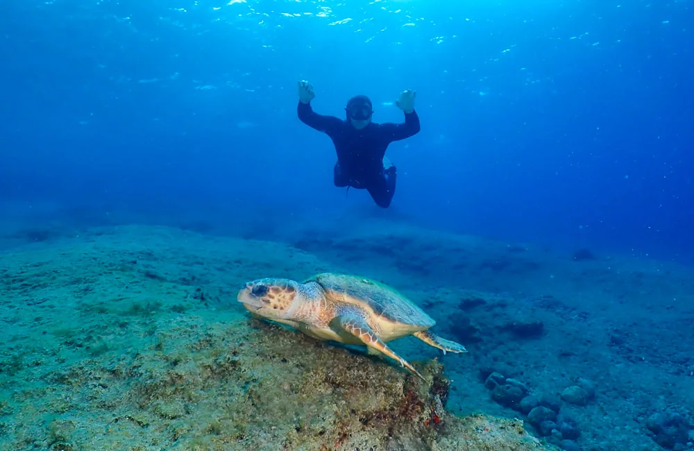 Memorable Dive Destinations