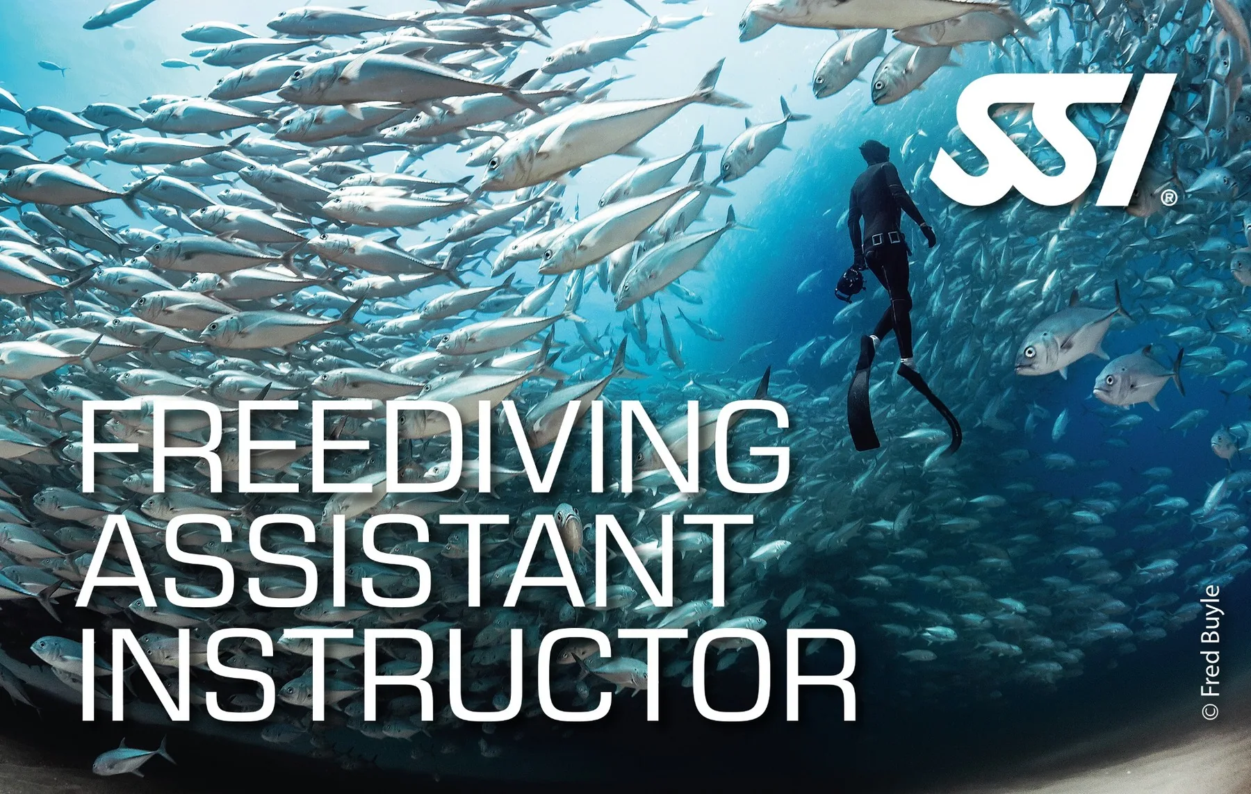 SSI Freediving Assistant Instructor