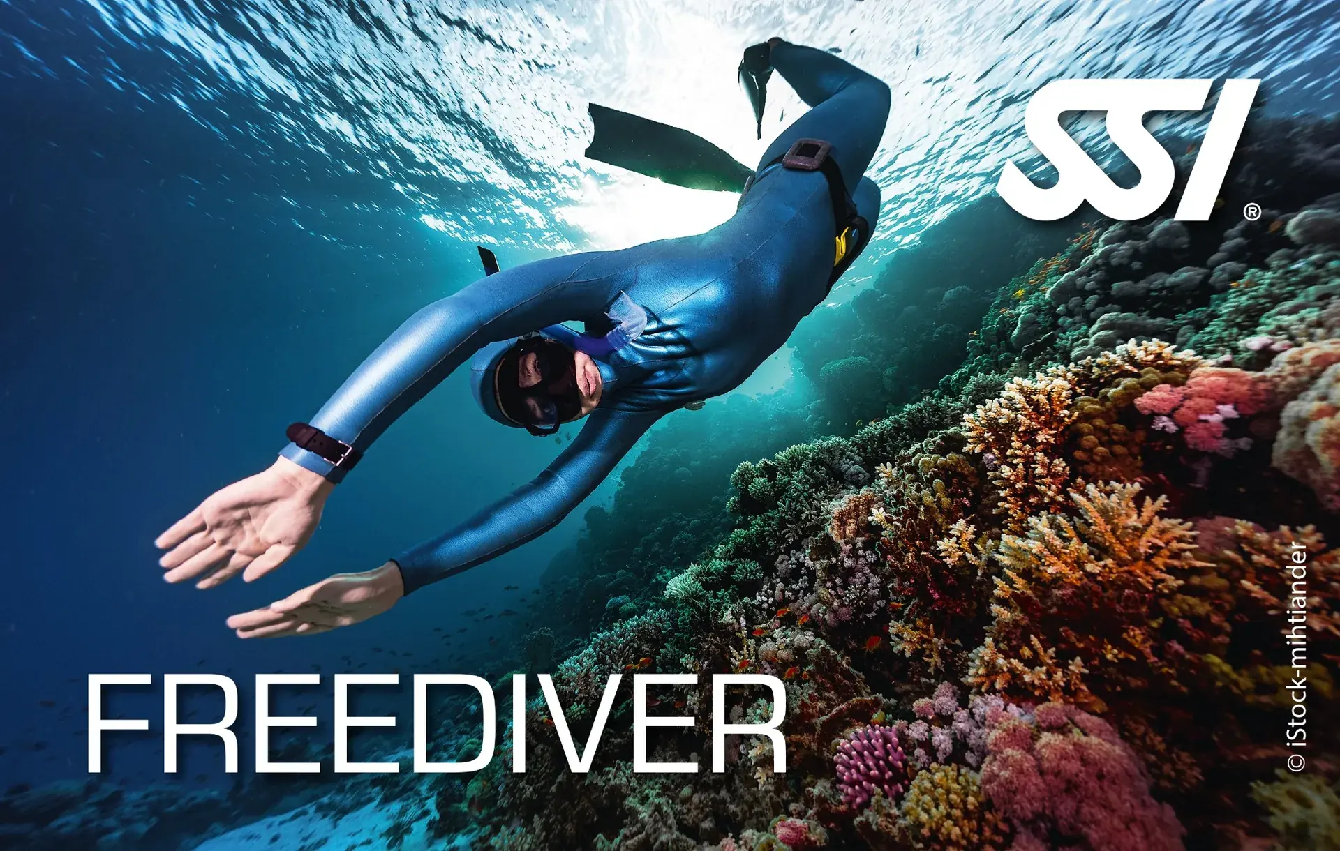 SSI Freediver sertifika kartı