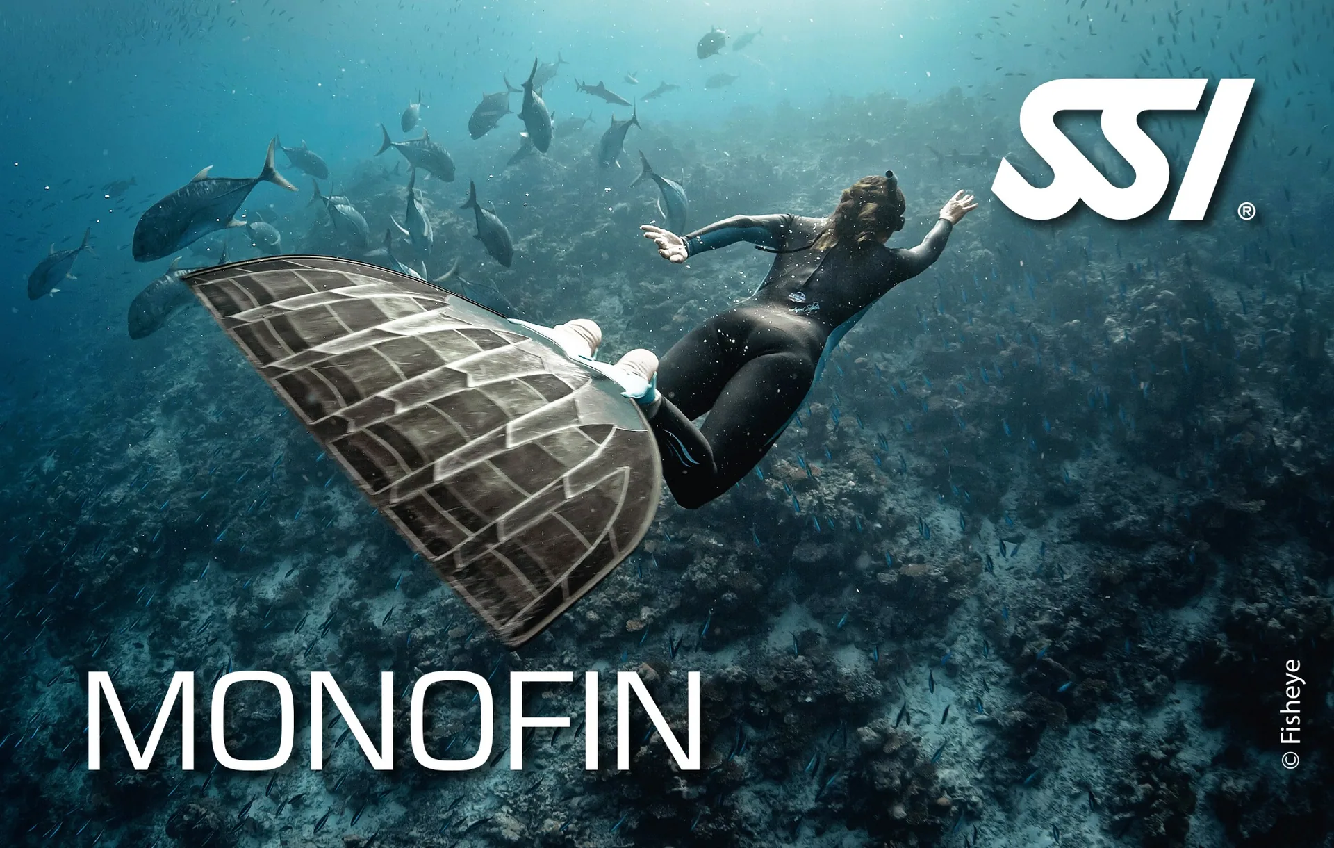 SSI Monofin uzmanlık kursu kartı