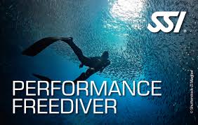 SSI Performance Freediver sertifika kartı