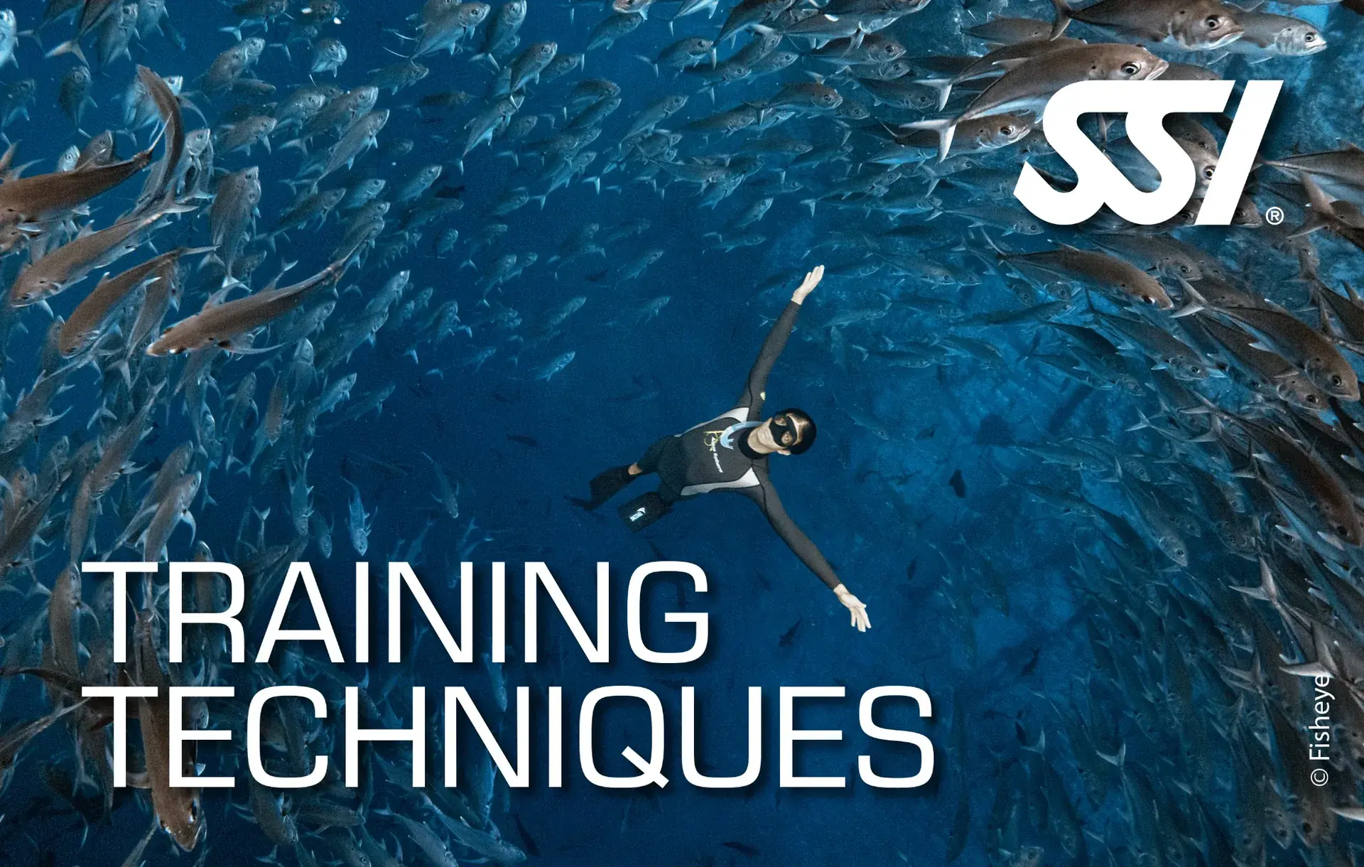 SSI Training Techniques specialty card