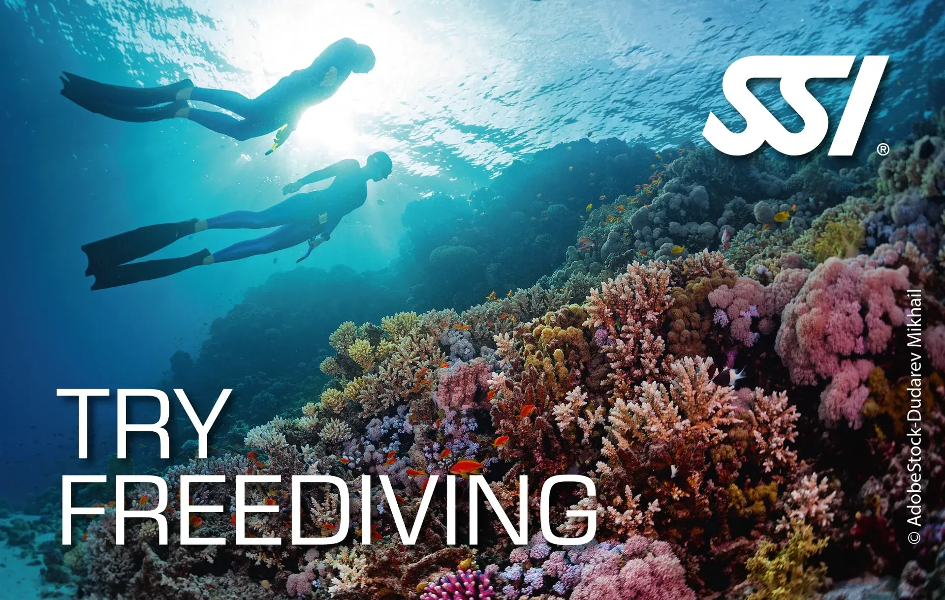 SSI Try Freediving sertifika kartı