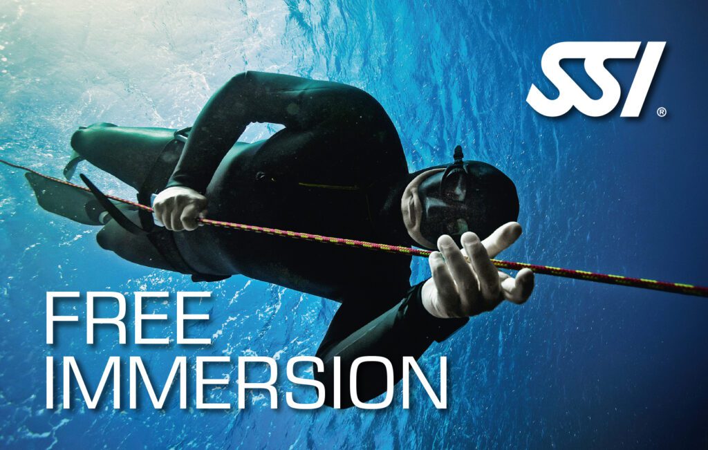 Free Immersion