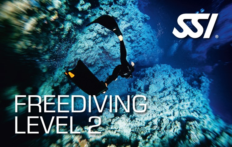 SSI Advanced Freediver course Advanced Freediving certification SSI SSI Advanced Freediver training SSI Advanced Freediver prerequisites SSI Advanced Freediver course cost SSI Advanced Freediver manual SSI Advanced Freediver skills SSI Advanced Freediver depth training SSI Advanced Freediver equalization techniques Advanced Freediver course requirements SSI Advanced Freediver exam SSI Advanced Freediver e-learning SSI Advanced Freediver techniques SSI Advanced Freediver workshops Advanced Freediving safety procedures SSI Advanced Freediver pool sessions SSI Advanced Freediver open water dives SSI Advanced Freediver instructors Advanced Freediver training schedule SSI Advanced Freediver certification card Incorporate these keywords strategically into your website content, meta tags, and promotional materials to target individuals interested in enrolling in the SSI Advanced Freediver course. Providing comprehensive information about the course's curriculum, benefits, and the skills participants will acquire will attract potential freedivers and improve the visibility of your advanced freediving training program. When targeting keywords for the SSI (Scuba Schools International) Advanced Freediver course, it's essential to use terms that accurately represent the training program and attract potential participants interested in advancing their freediving skills. Here are some relevant keywords to consider: SSI Advanced Freediver course Advanced Freediving certification SSI SSI Advanced Freediver training SSI Advanced Freediver prerequisites SSI Advanced Freediver course cost SSI Advanced Freediver manual SSI Advanced Freediver skills SSI Advanced Freediver depth training SSI Advanced Freediver equalization techniques Advanced Freediver course requirements SSI Advanced Freediver exam SSI Advanced Freediver e-learning SSI Advanced Freediver techniques SSI Advanced Freediver workshops Advanced Freediving safety procedures SSI Advanced Freediver pool sessions SSI Advanced Freediver open water dives SSI Advanced Freediver instructors Advanced Freediver training schedule SSI Advanced Freediver certification car