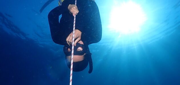 freediving
